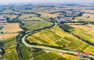 我国将继续推动农业发展全面绿色转型  