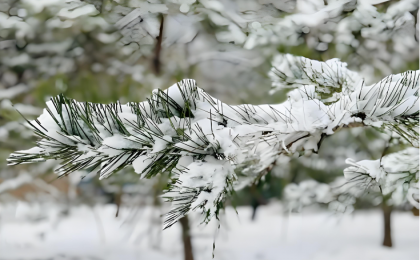 江南华南等地多降水 新疆华北中北部等地有降雪  
