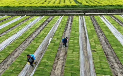 春耕春播气象服务全面启动 