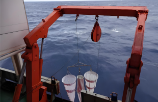 多线推进，我国大洋考察取得新进展    