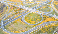 因地制宜，靠山吃山蹚出新路  