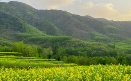 绿色，美丽中国最鲜明的底色   