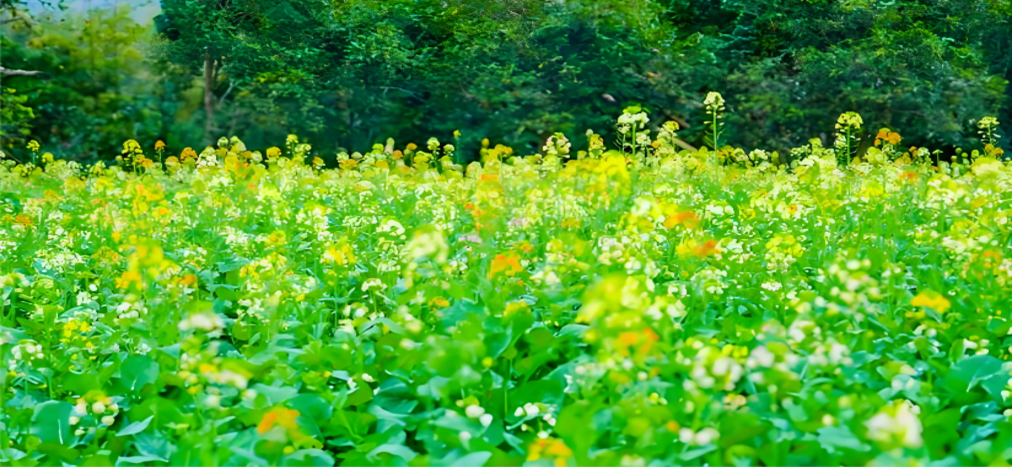 守住了“家底子” 鼓起了“钱袋子”
