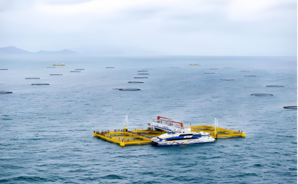 海洋经济新引擎全速启动  