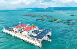 船舶风电旅游多点突破，绿色转型绘就人海和谐新图景  