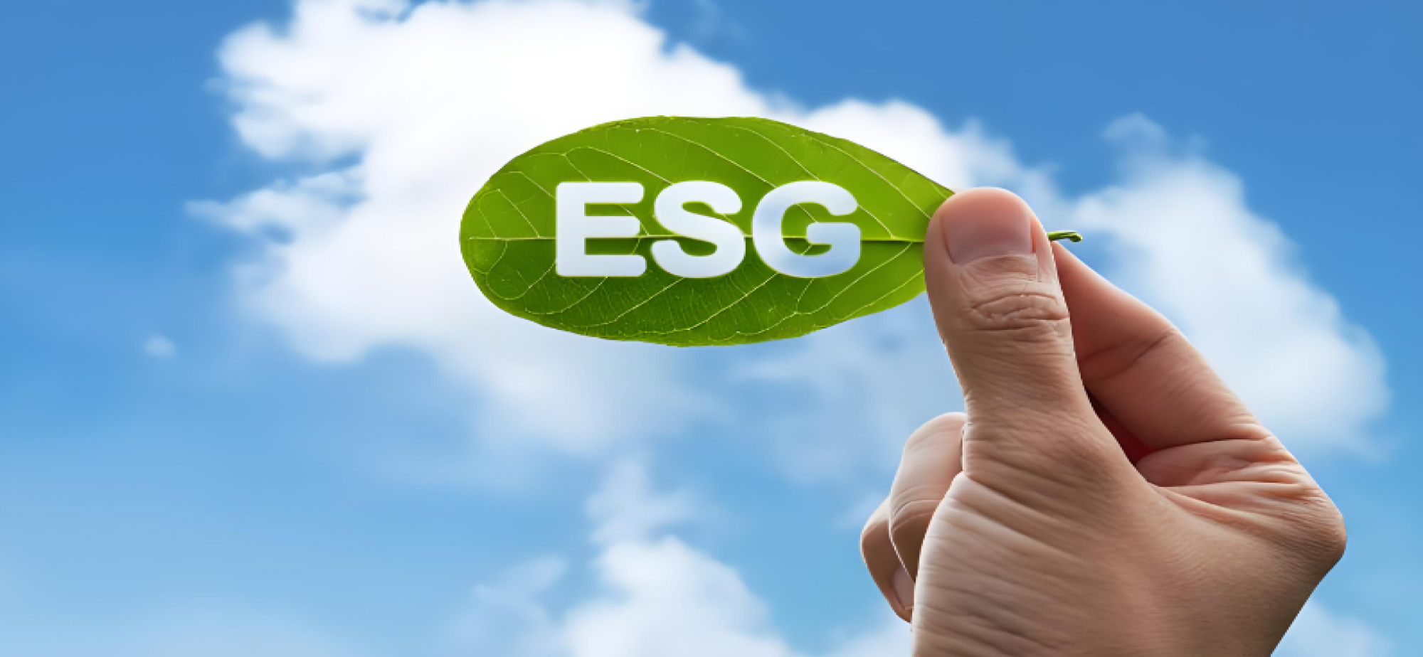 空气质量新标准发布，各地如何充分挖掘高质量高标准减排空间？