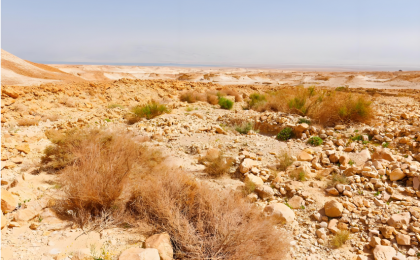 从“治沙”到“护荒”，生态环境法典为“原生荒漠”正名 