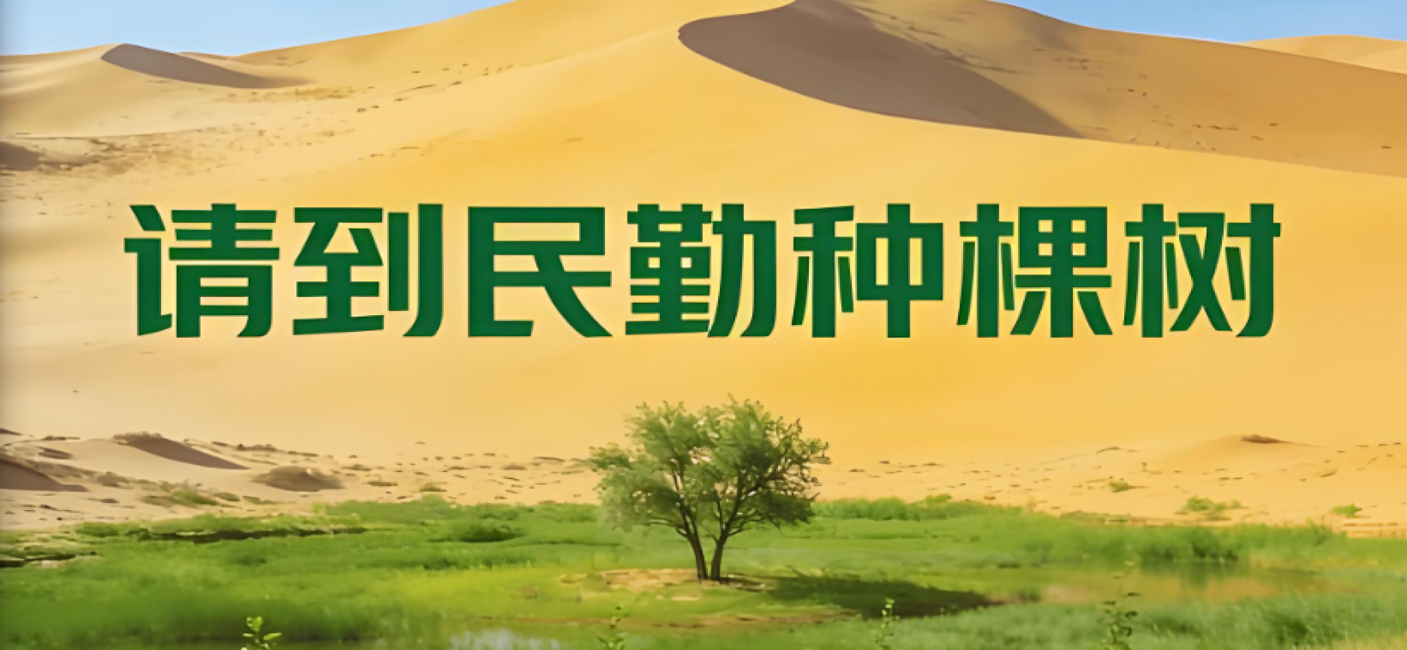 “请到民勤种棵树”