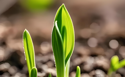 调高蓝天“标尺” 守护绿色中国