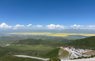 有好生态才有好未来    