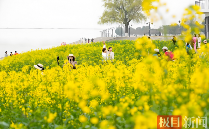 长江畔，百里生态廊道变“宽”了    