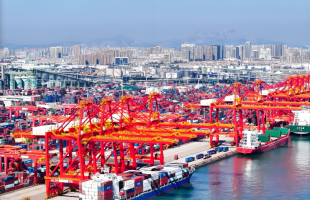 以智能绿色，打造世界一流港口  