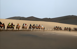 假期出行撬动消费潜力 为经济良好开局注入动力    