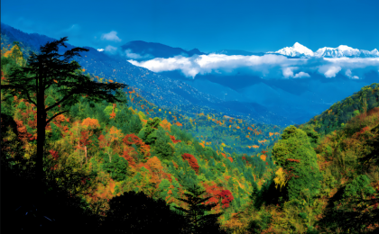 珍视寻常生灵的生态价值  