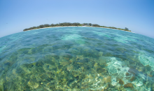 我国首次发布东部海域“海底化学元素图” 