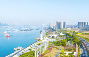 湖北宜昌：岸线修复绘就五十里滨江绿廊  