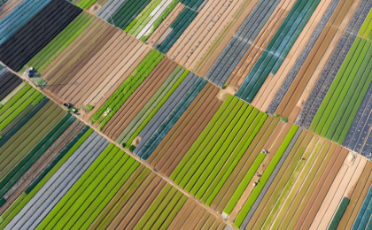 从优秀传统文化中汲取正确政绩观的丰厚滋养    