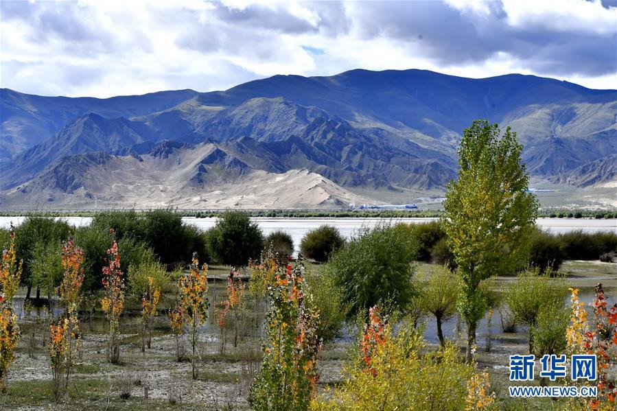 荒漠变绿洲3.jpg 荒漠变绿洲3.jpg