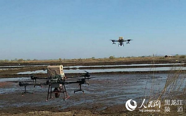 LOCAL202005111730000227114116354.jpg LOCAL202005111730000227114116354.jpg