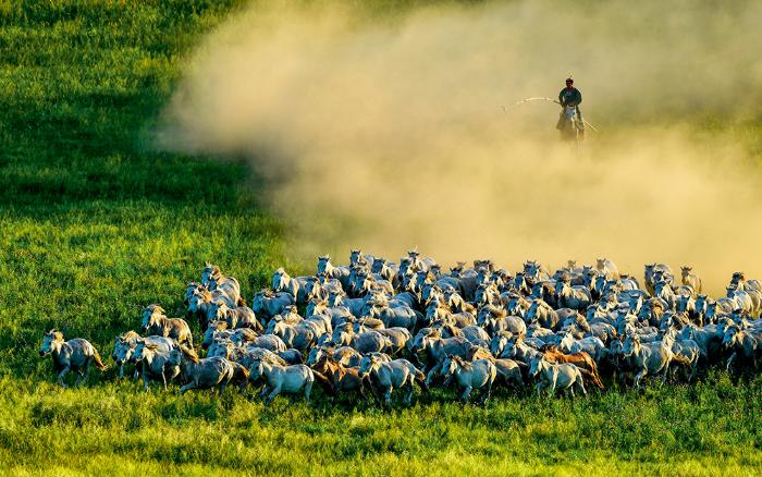 20200909165807559489904_1.jpg 20200909165807559489904_1.jpg