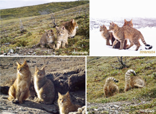 全球.jpg 全球.jpg