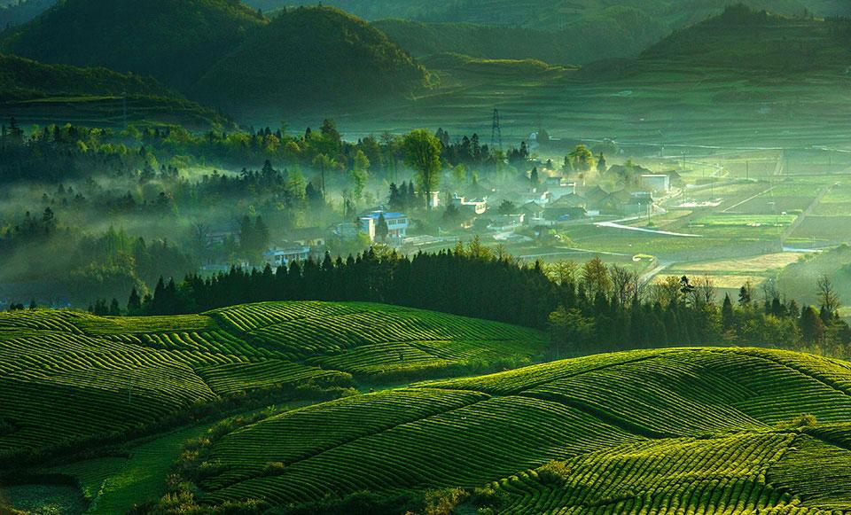 绿色发展.jpg 绿色发展.jpg