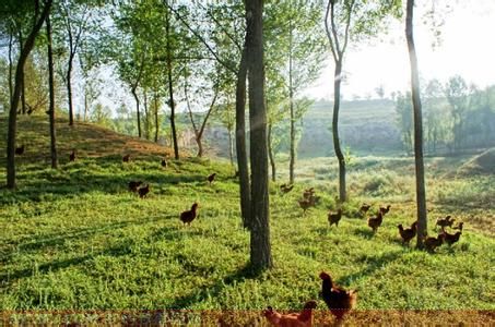 退耕.jpg 退耕.jpg