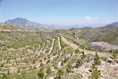 荒山.jpg 荒山.jpg