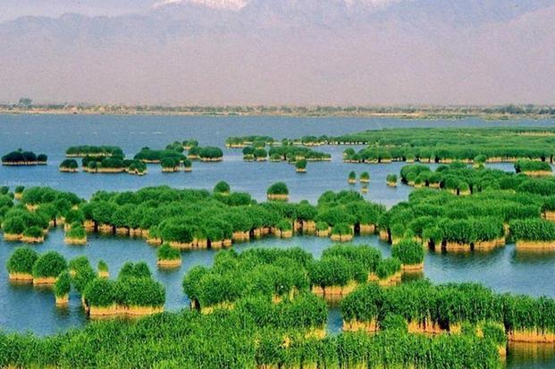 宁夏的.jpg 宁夏的.jpg