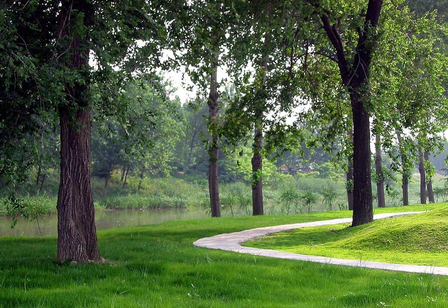 涵养.jpg 涵养.jpg