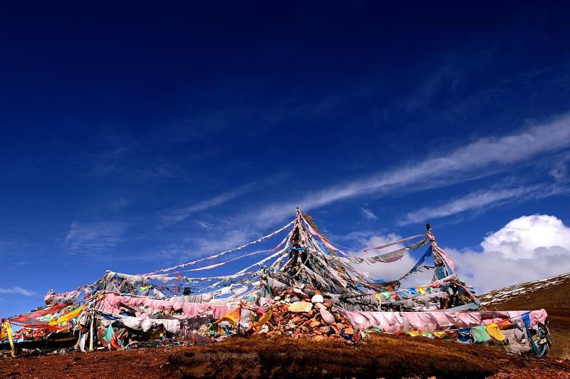 玉树.jpg 玉树.jpg