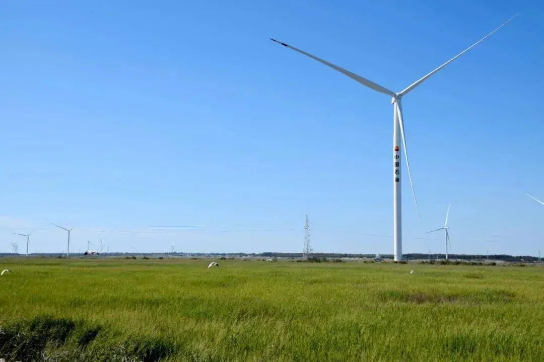 1754559108710580.jpg 1.jpg