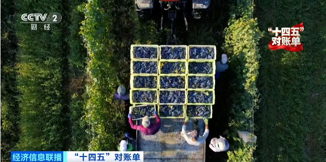 1760684877905002.png 山的另一边,秋天正在派发惊喜,.png