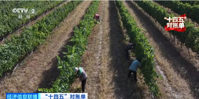 1760684940175340.png 再来这座矿坑上改造的酒庄,.png