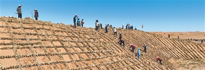 1761118285793622.jpg 宁夏中卫市.jpg