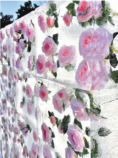 1761819095814075.png 沈阳市南湖公园设立的冰.png