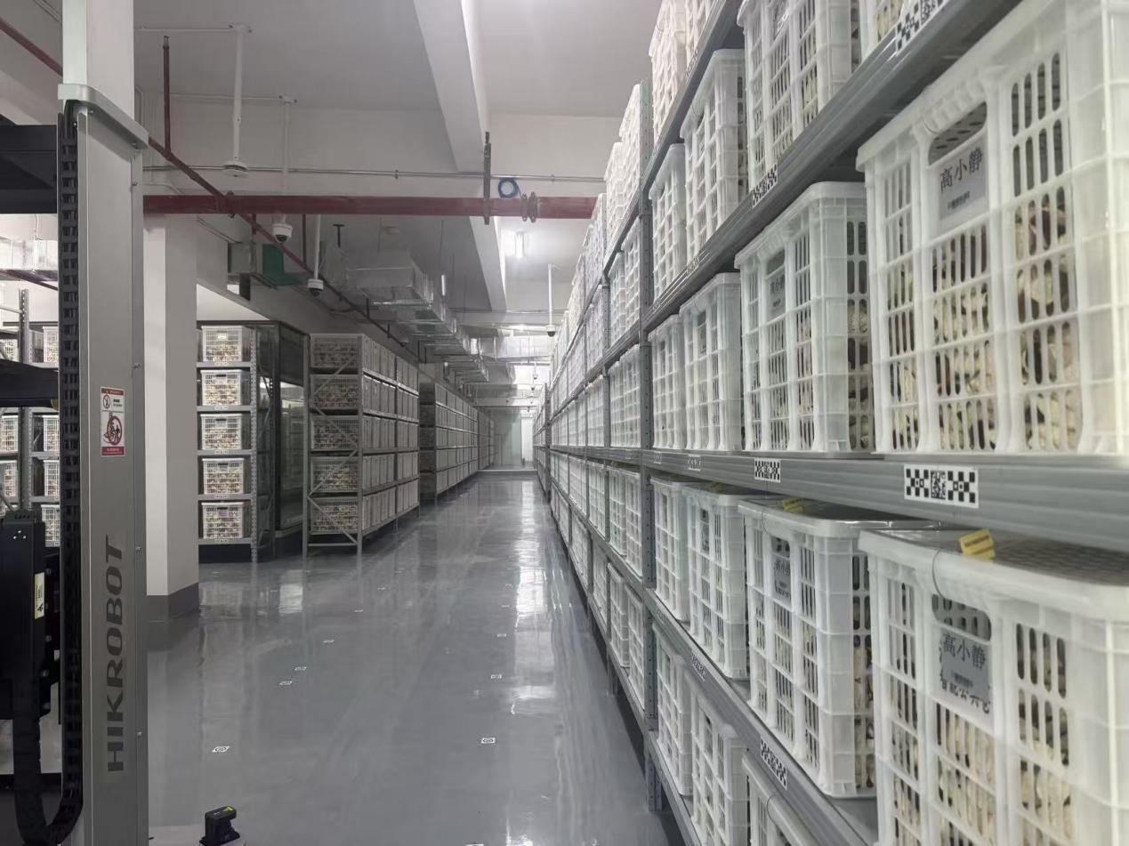 1762154521895085.png 恒温恒湿的陈皮智能公共仓内部。.png