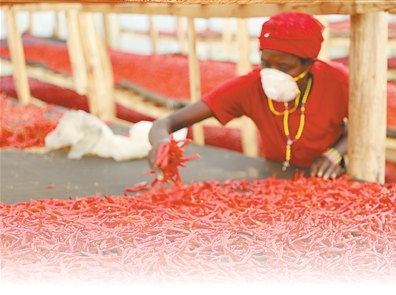 1762923187436448.png 卢旺达工人筛选辣1.png