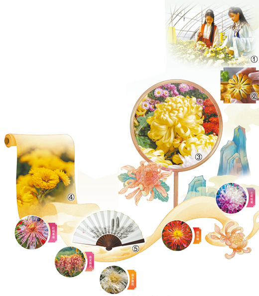 1763533440779709.jpg 图①:游客在花.jpg