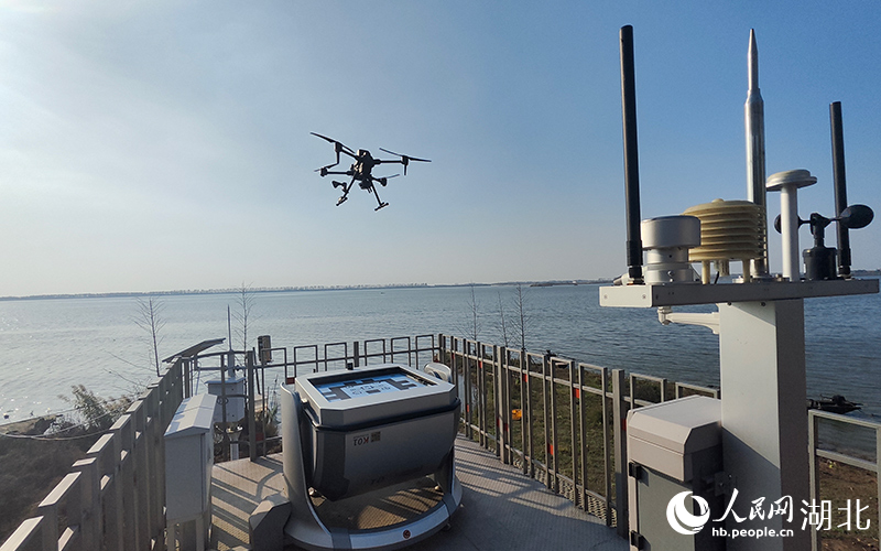 1764052207578711.jpg 在武汉市江夏区斧头湖枯竹海水域,无人.jpg