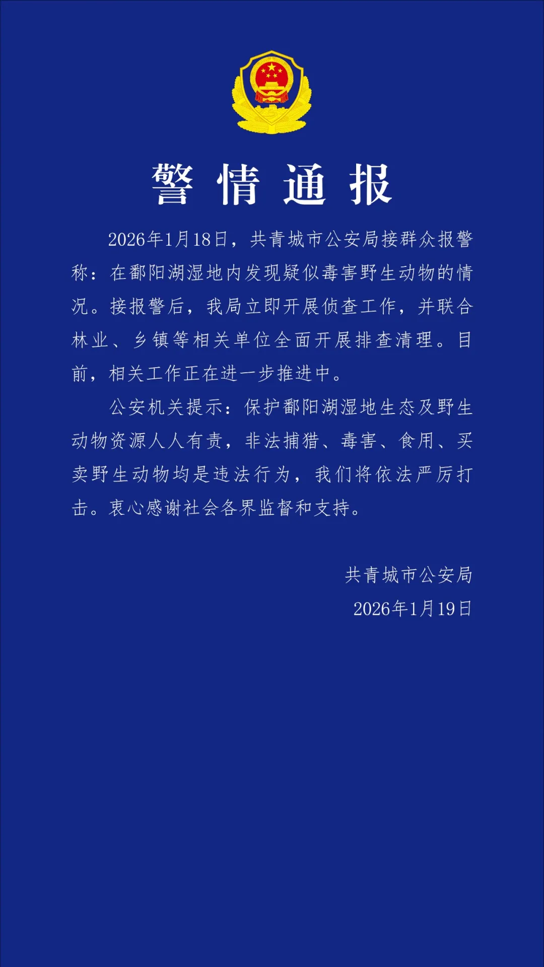 1768817553634119.jpg 2111.jpg