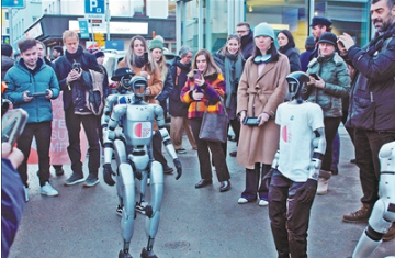 1769149125673802.png ,白雪皑皑.png