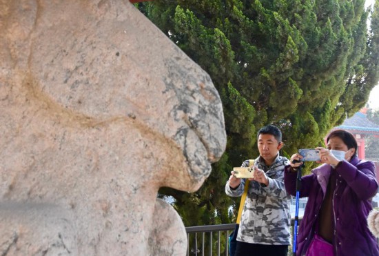 1772261792905604.jpg 游客在茂陵博物馆的.jpg