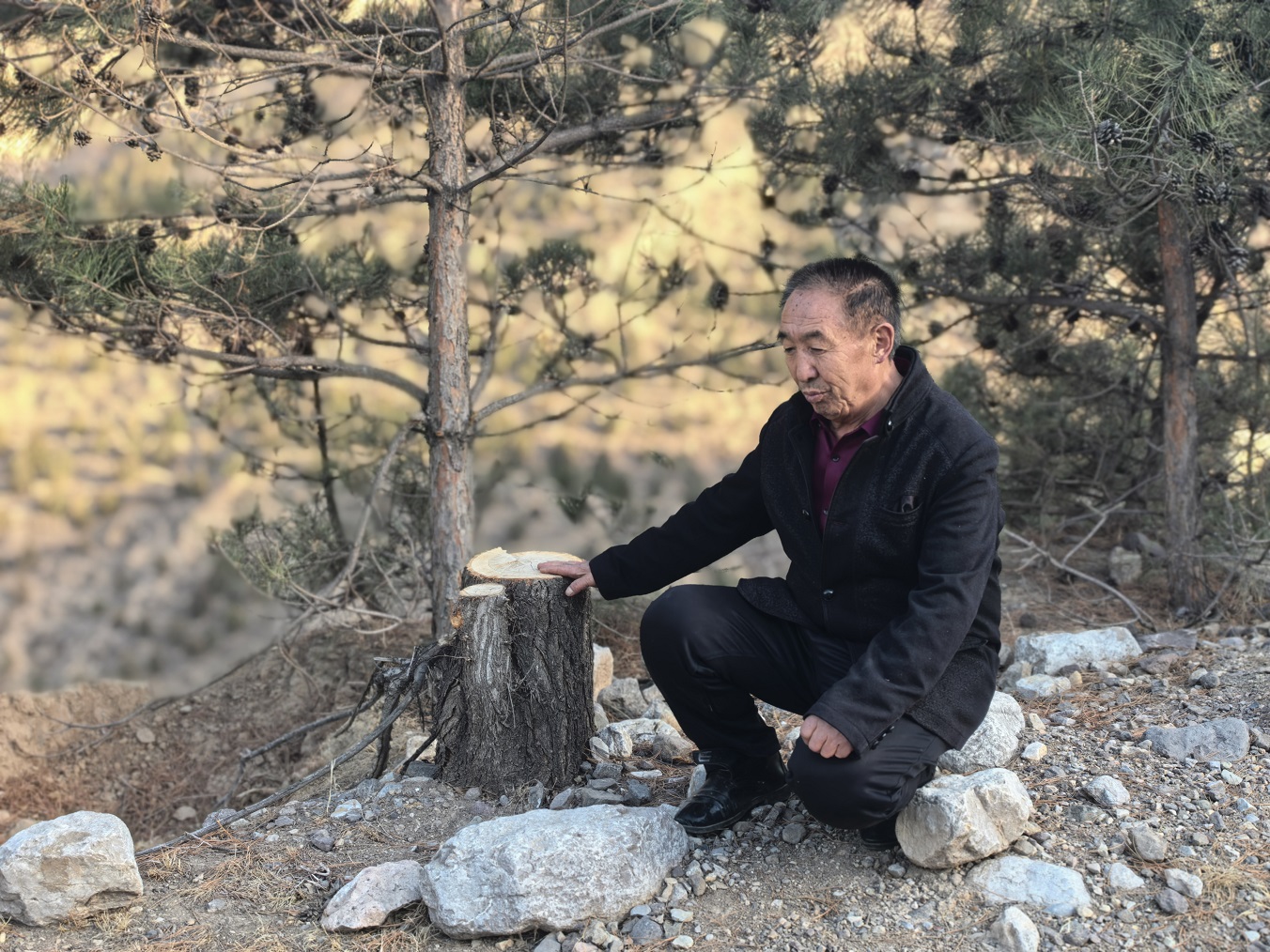 1776063931462245.jpeg 签订合同后,惠农商贸有限公司开始修建管护道.jpeg